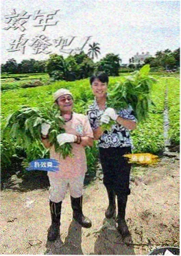 美食探索记